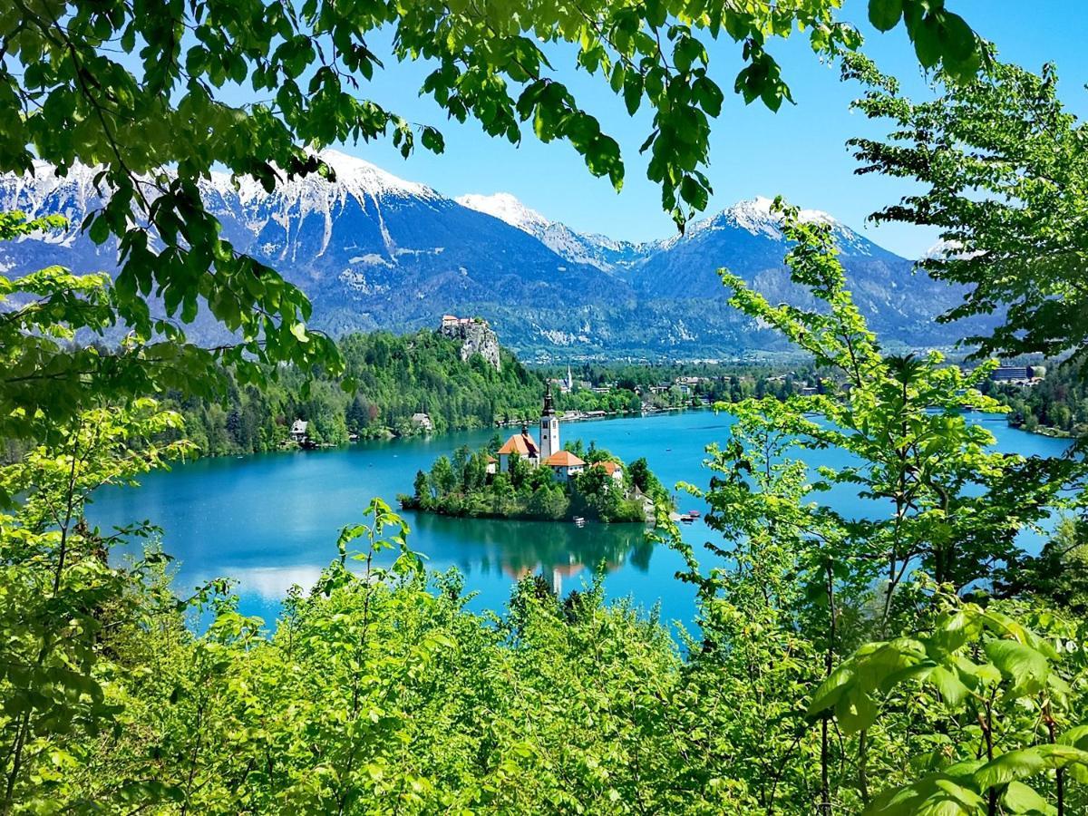 Ribno Alpine Hotel Bled Dış mekan fotoğraf